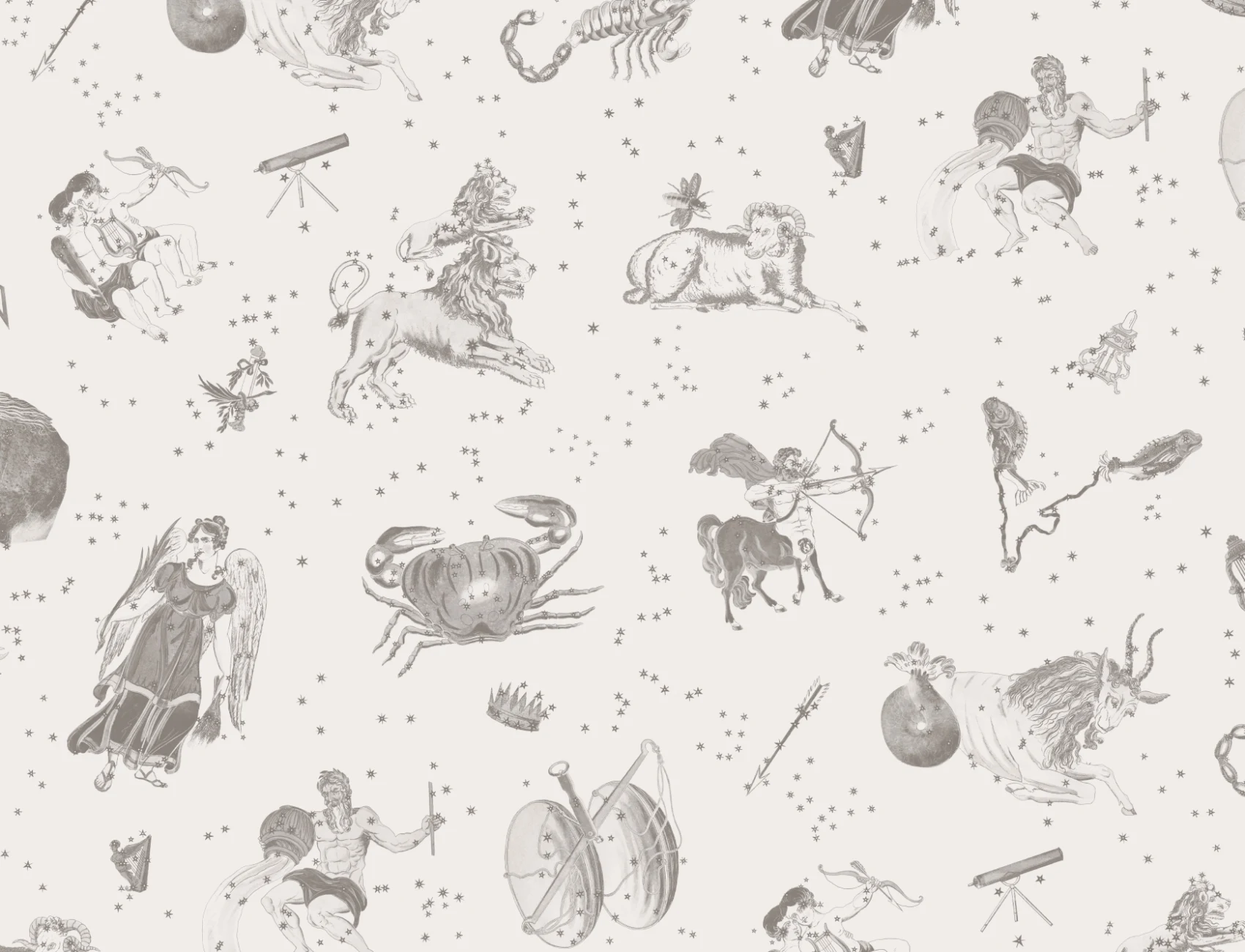 Gray Illustrated Astrological Star Signs Mural