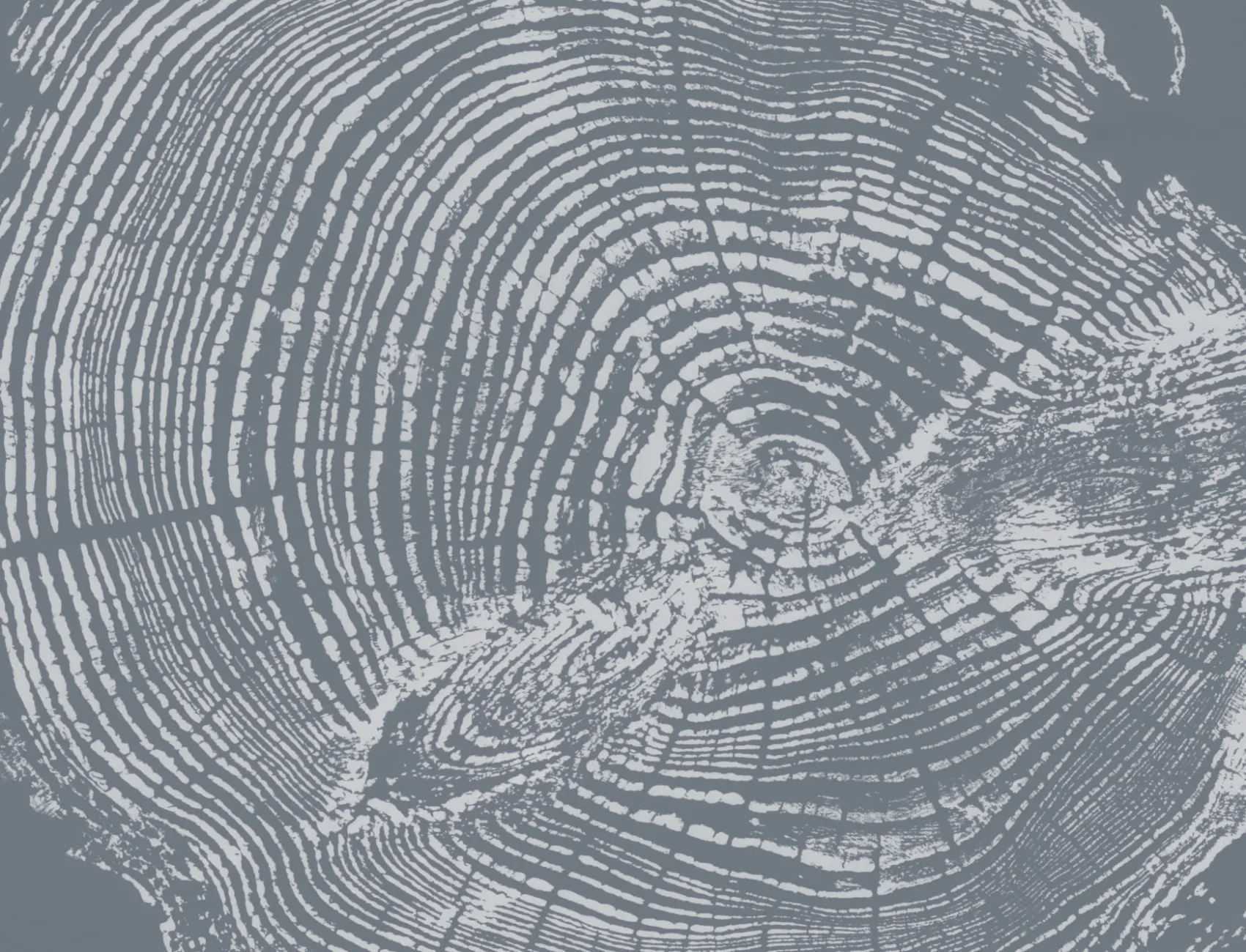 Mural Papel Pintado de Madera con Tocón de Árbol en Azul Gris