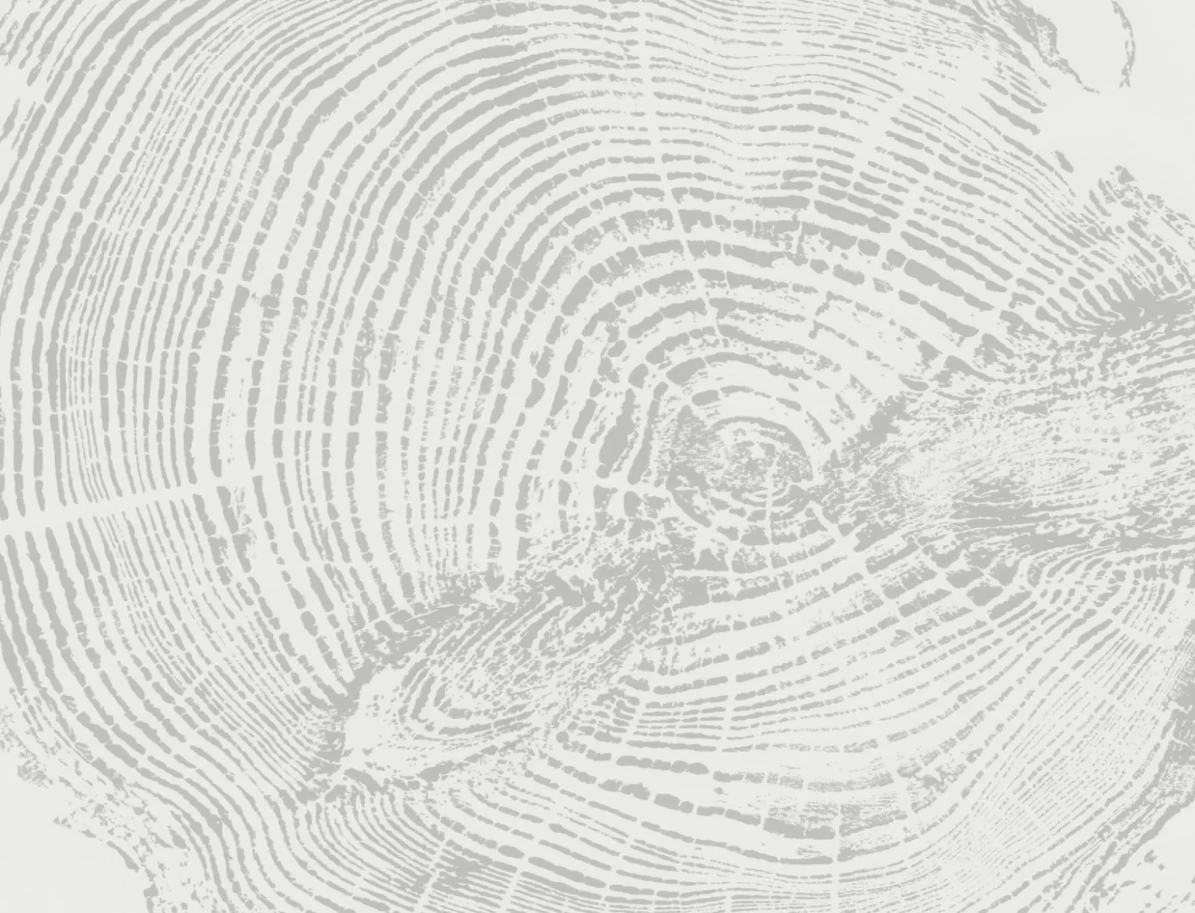 Mural Papel Pintado de Madera con Tocón de Árbol en Gris Claro
