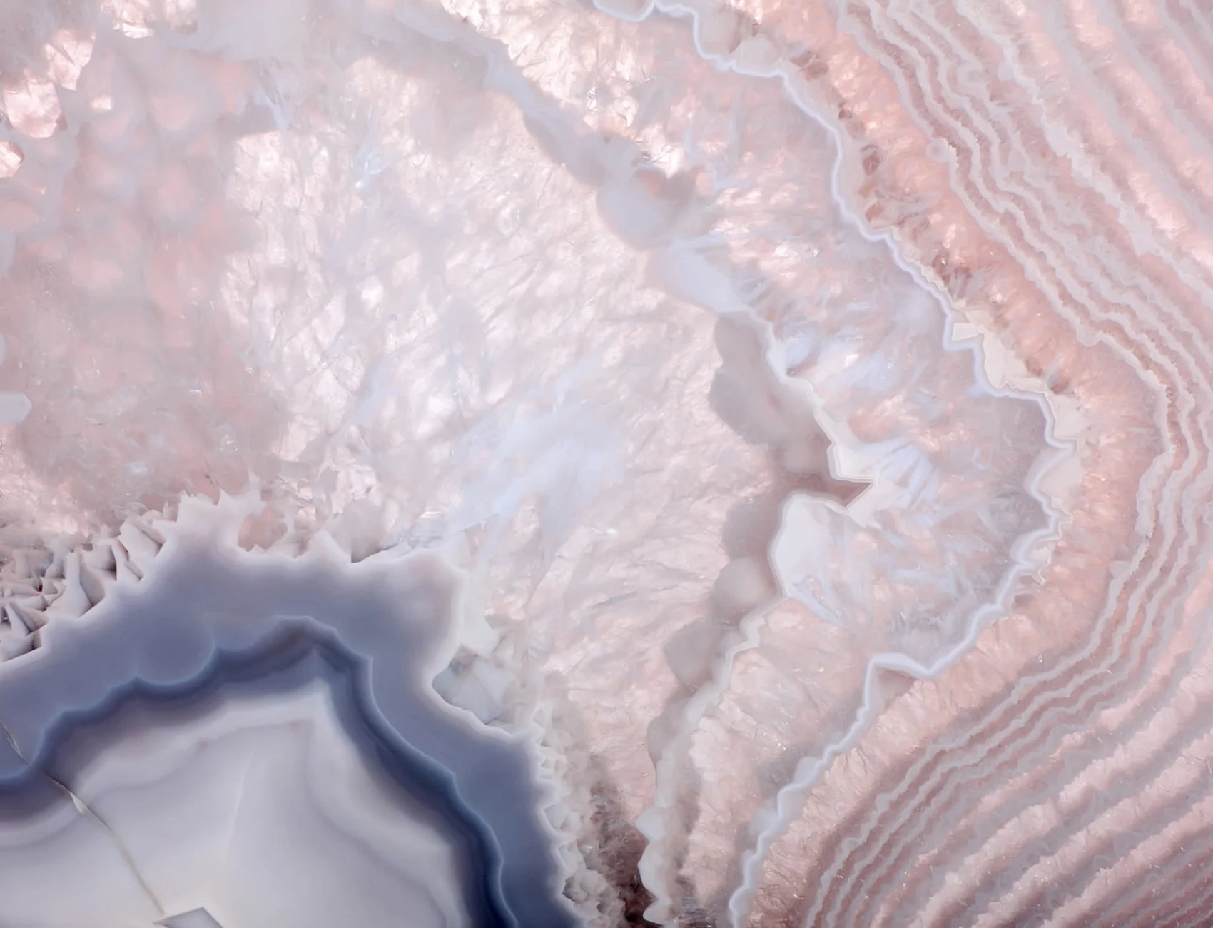 Rose Quartz fototapet