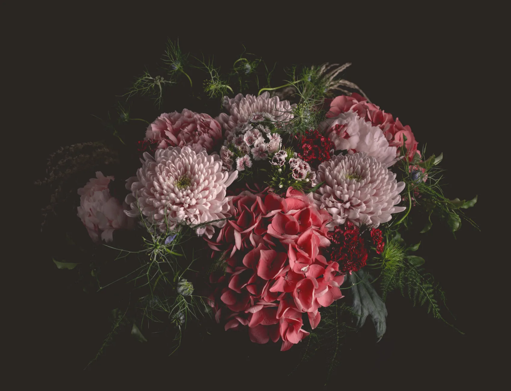 Fototapete Große Düstere Blumenfotografie in Dunklen Farbtönen