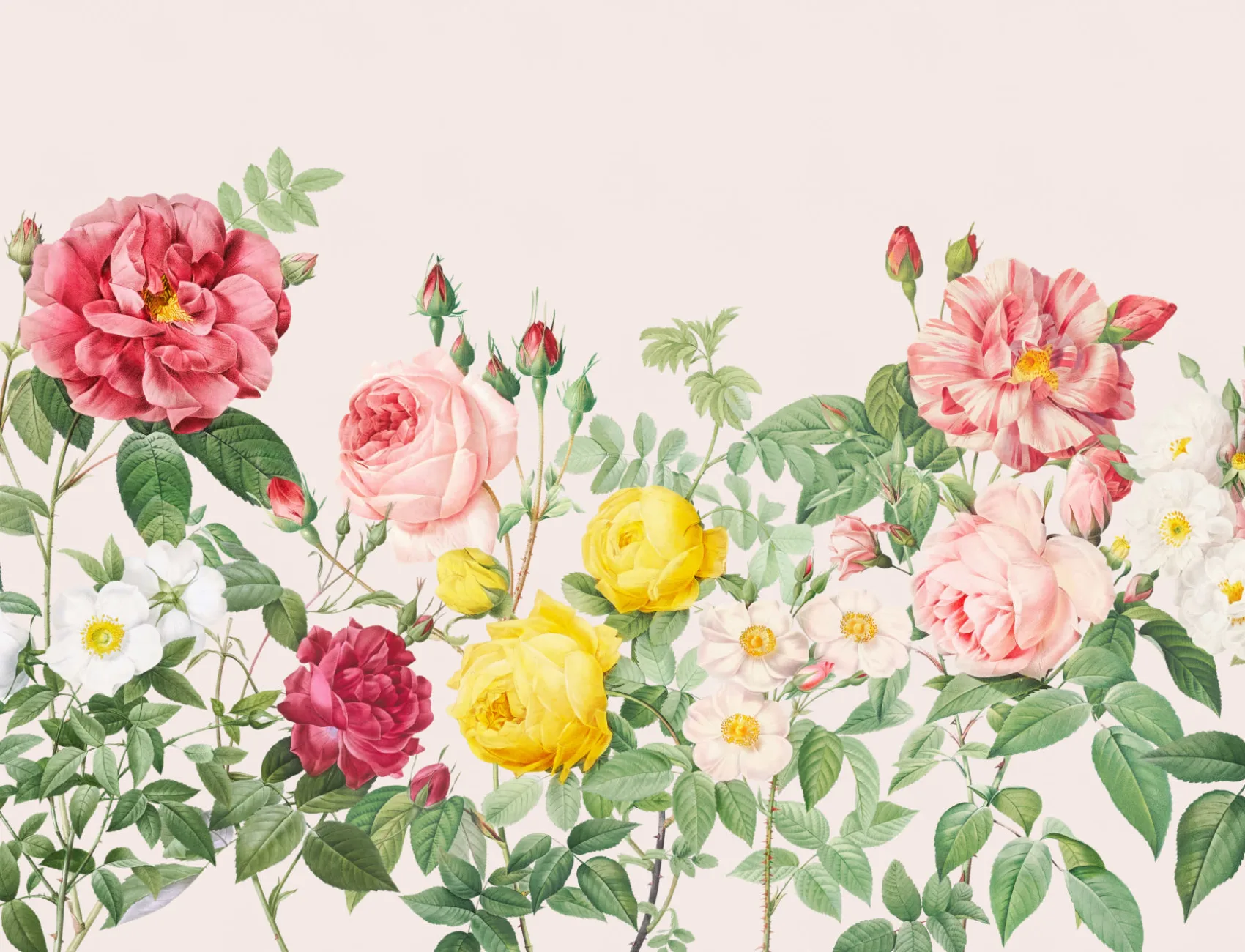 Carta da Parati Fiori di Primavera Effetto Vintage