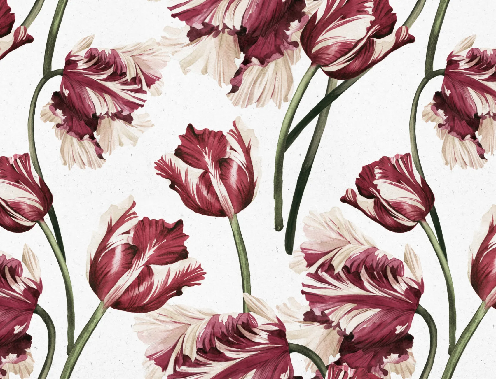 Red Tulip Wallpaper Mural