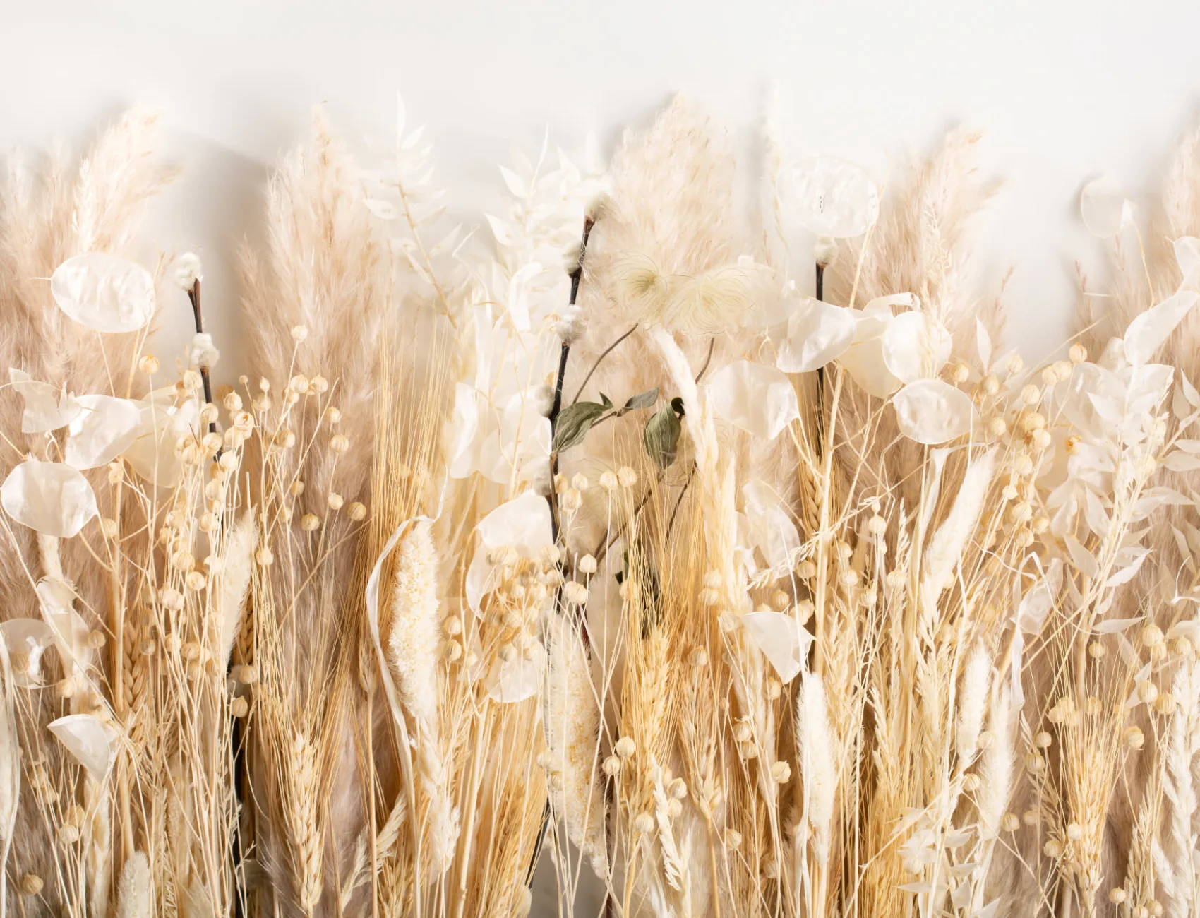 Field of Dried Flowers Wallpaper Mural