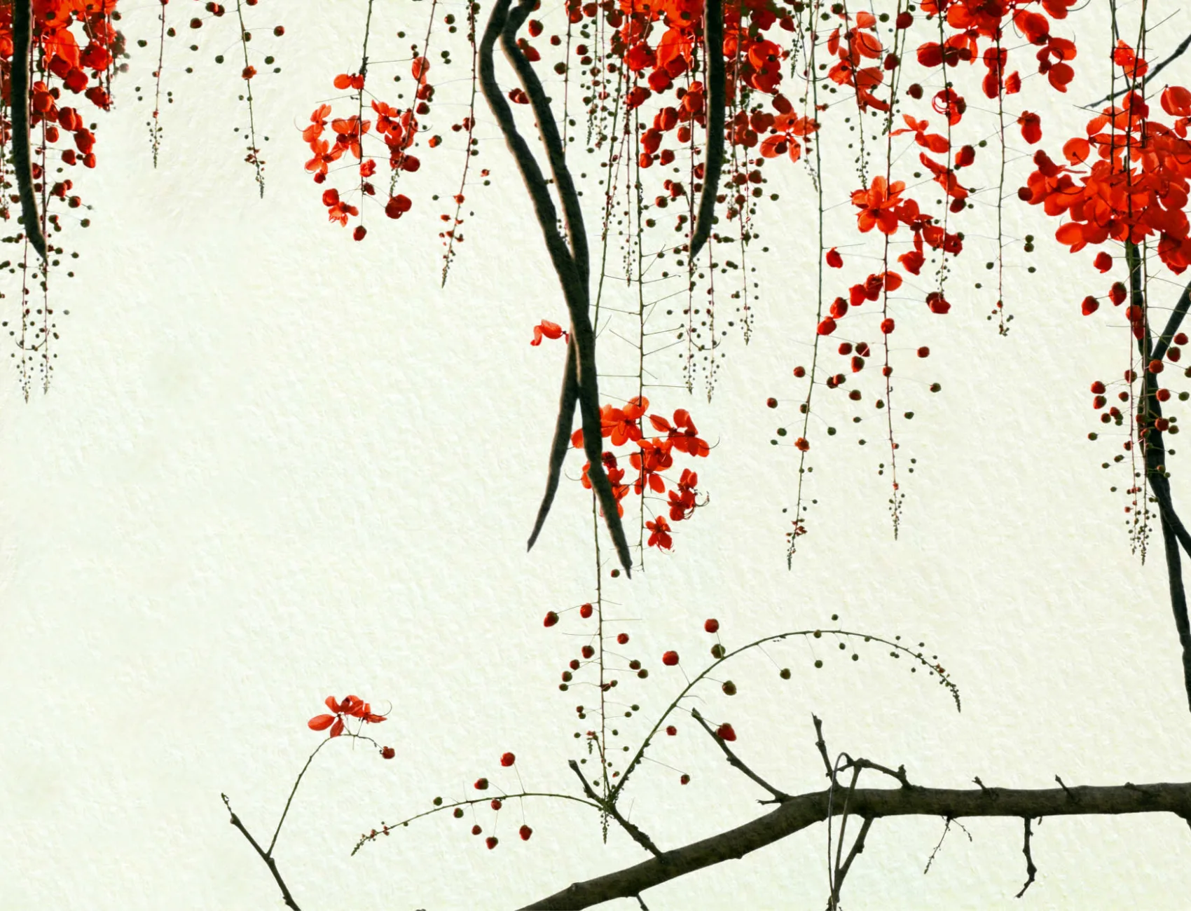 Red Blossom Wallpaper Mural