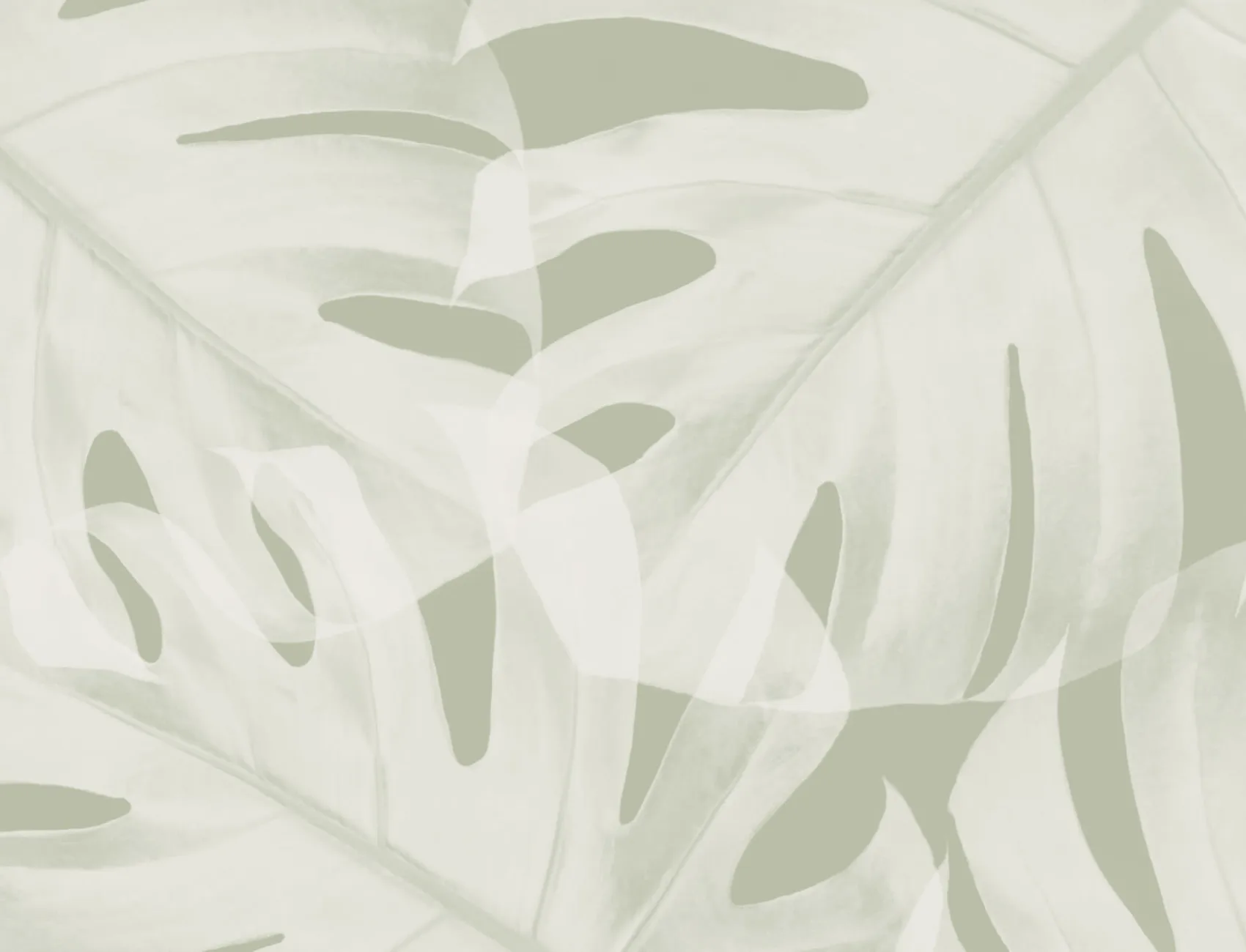 Fototapete mit Salbeigrünem Monstera-Blatt