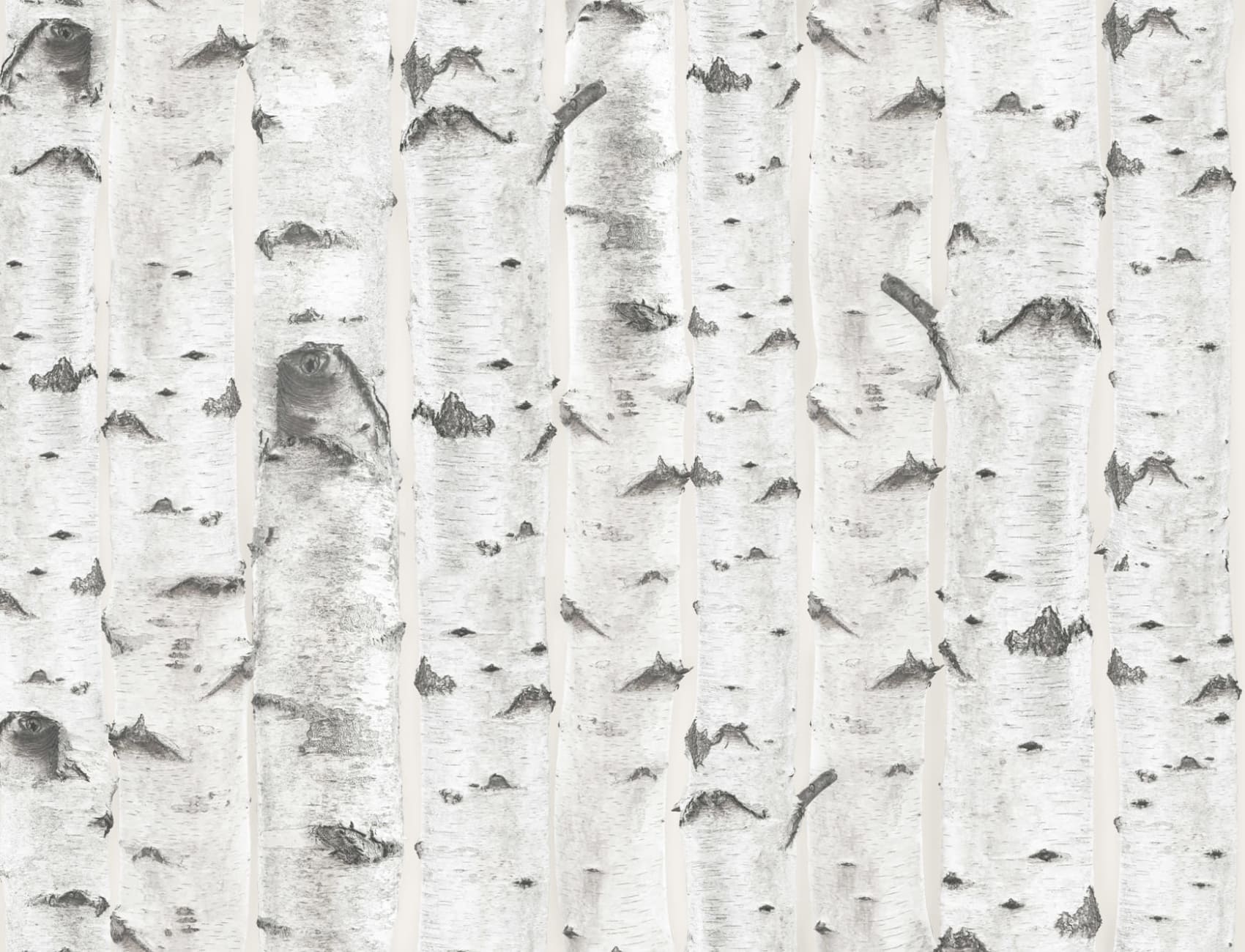 White & Cream Birch Tree Pattern Wallpaper Mural