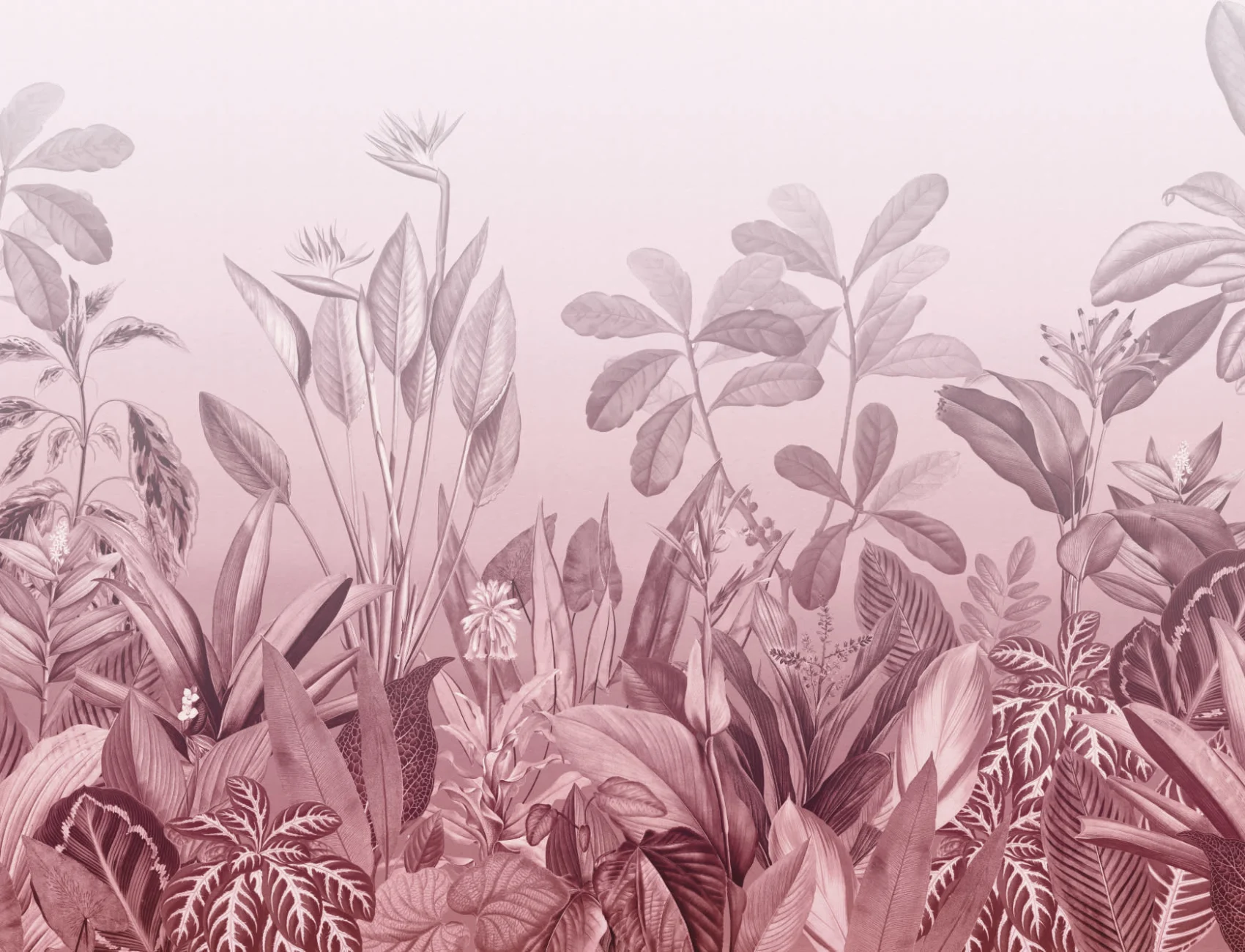 Pink Ombre Tropical Jungle Landscape Wallpaper Mural