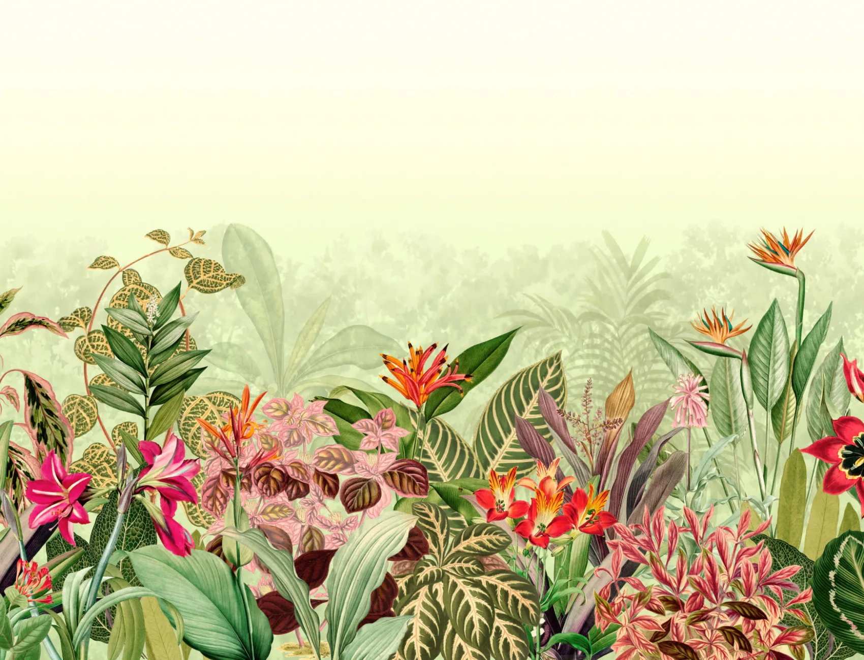 Vintage Tropical Botanics Grønt fototapet