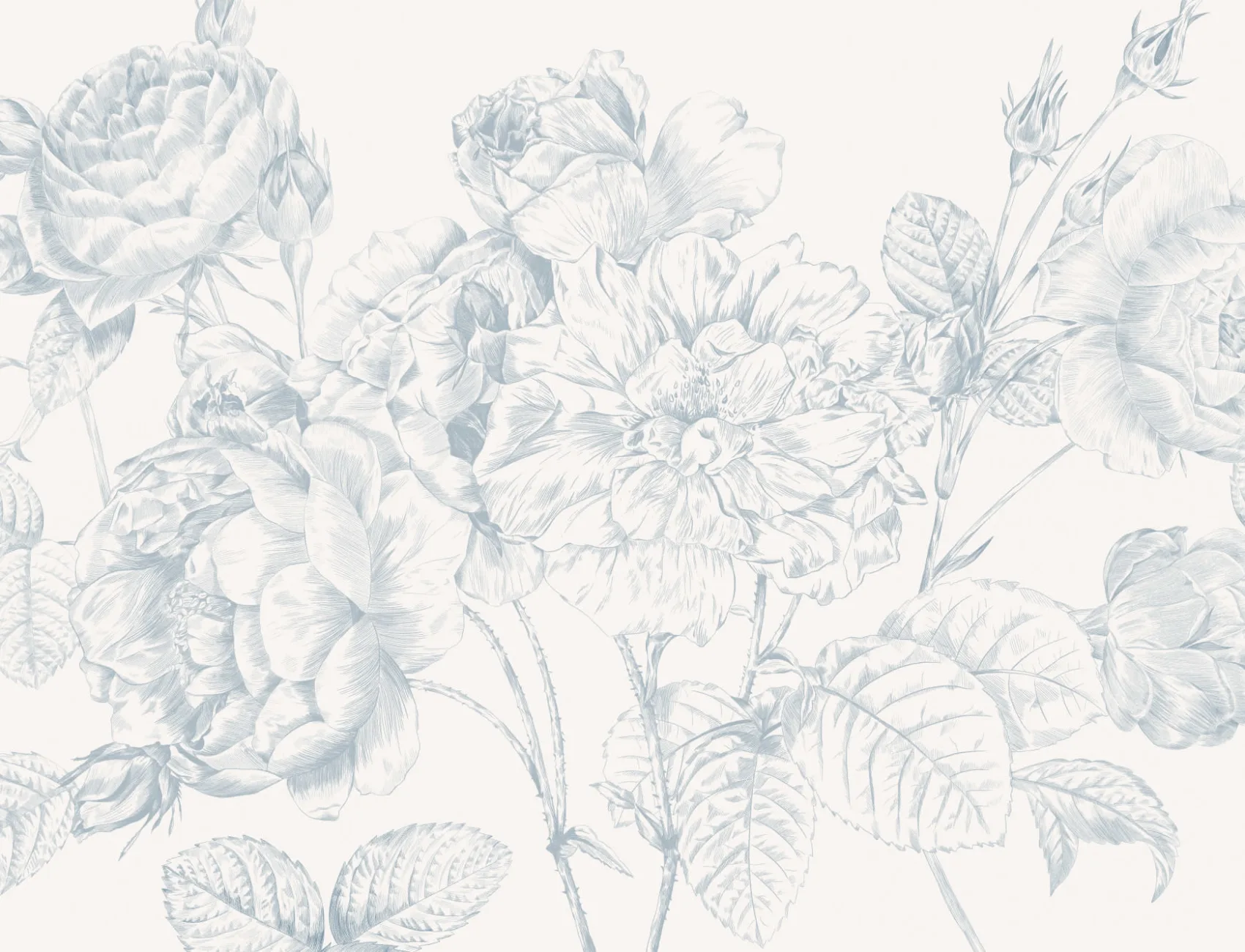 Blue Large Illustrated Roses Wallpaper Mural