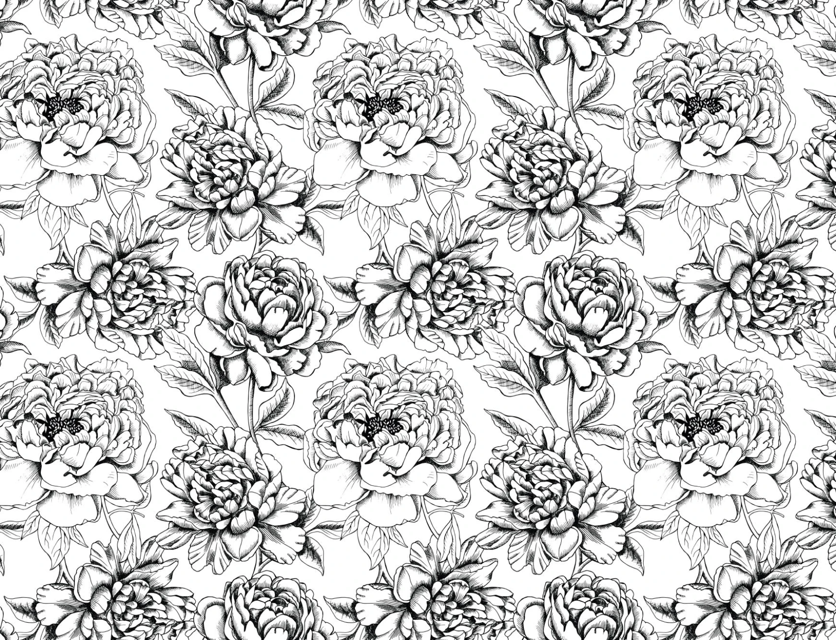 Papier Peint Panoramique Fleurs Illustrées