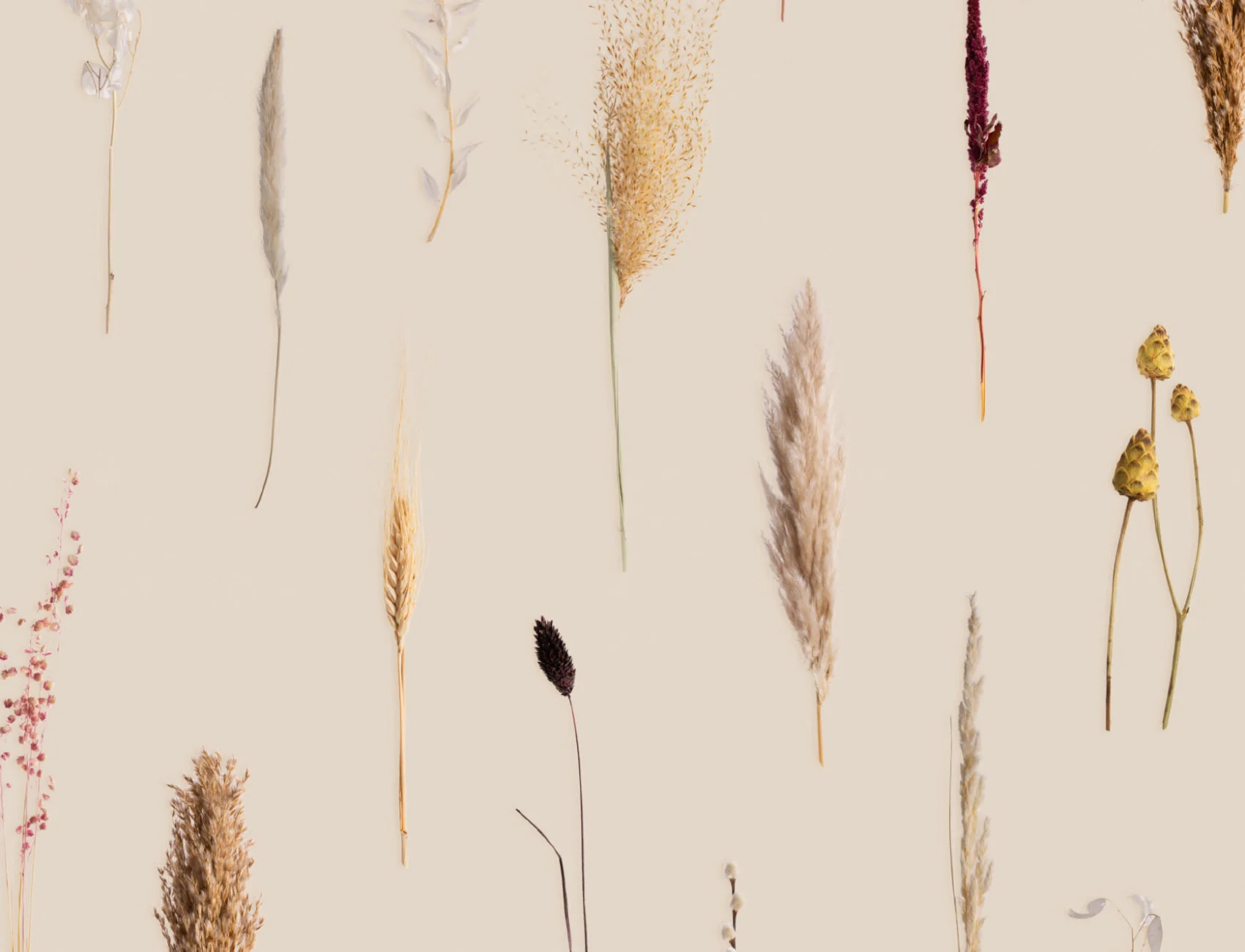 Earthy Gedroogde Bloemen Botanisch Herhalingspatroon Behang