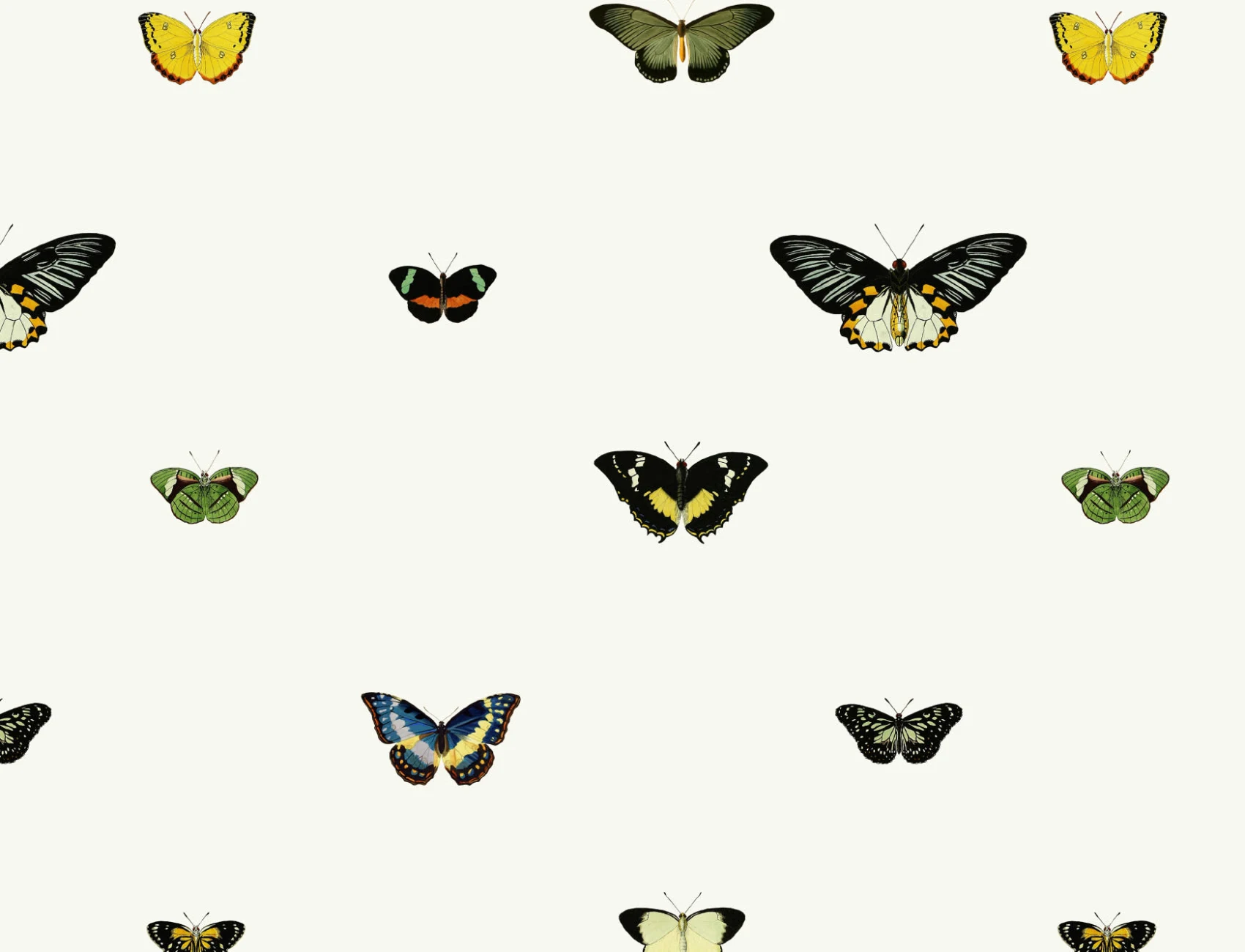 Vintage Butterfly Wallpaper Mural