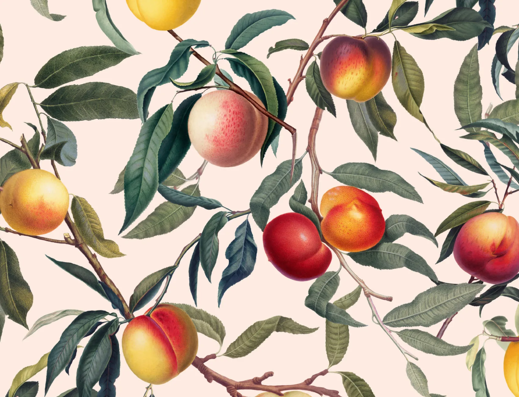 Cream and Green Vintage Botanical Peach Fruit Repeat Pattern Wallpaper
