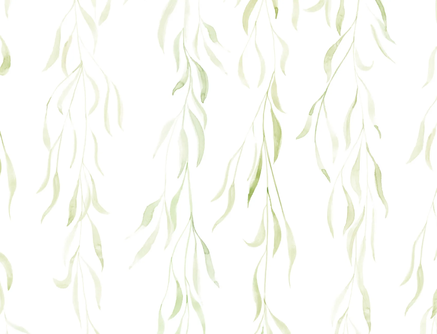 Papier peint feuillage rampant à l’aquarelle