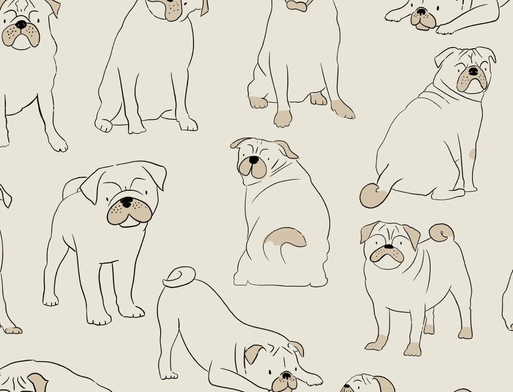 Pug model de câine Wallpaper Mural