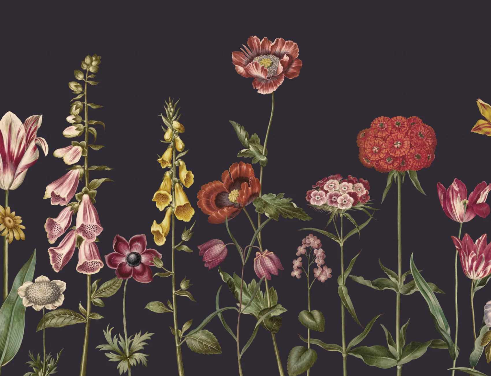 Mørkt illustreret vægmaleri af vilde blomster