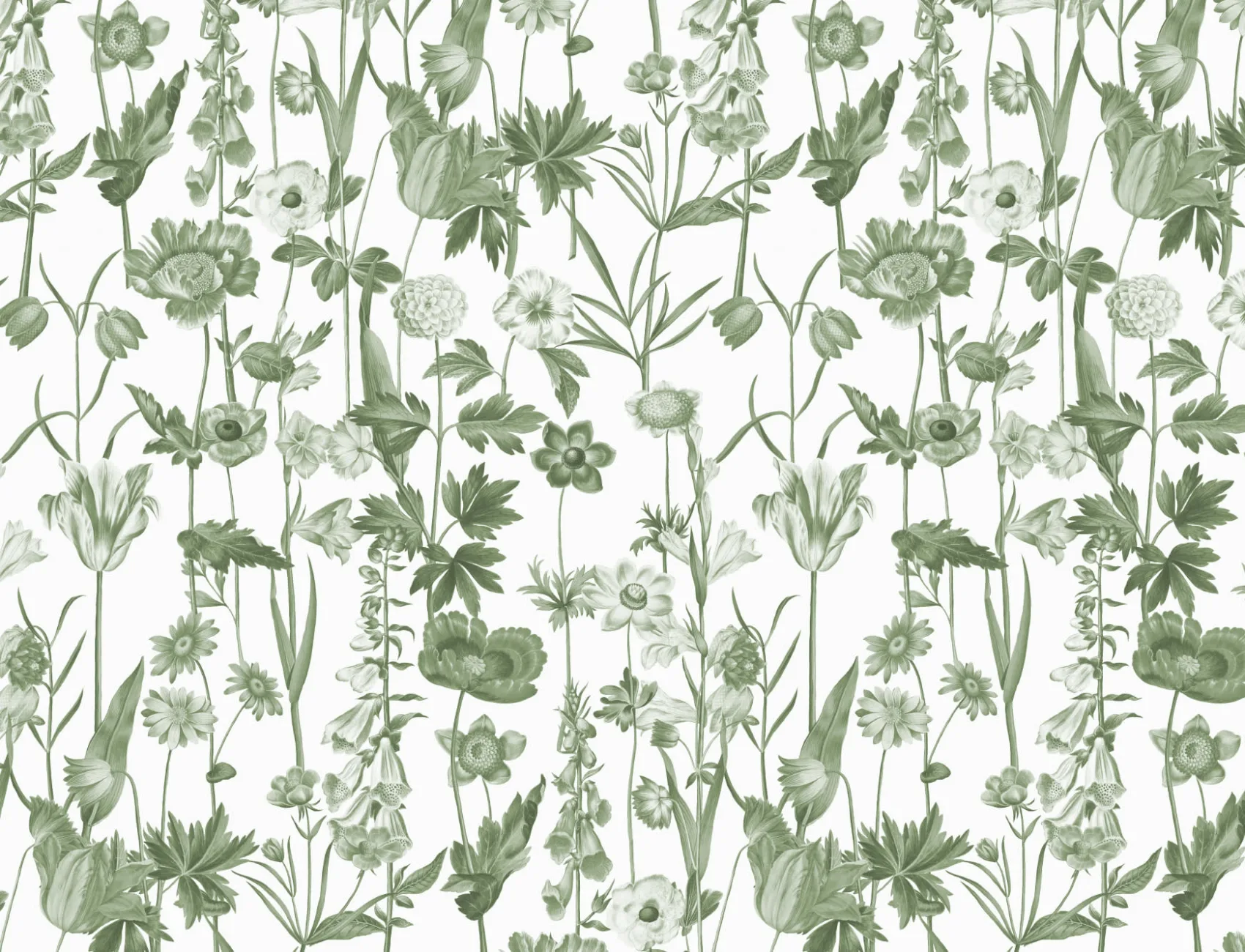 White Illustrated Wildflower Wallpaper