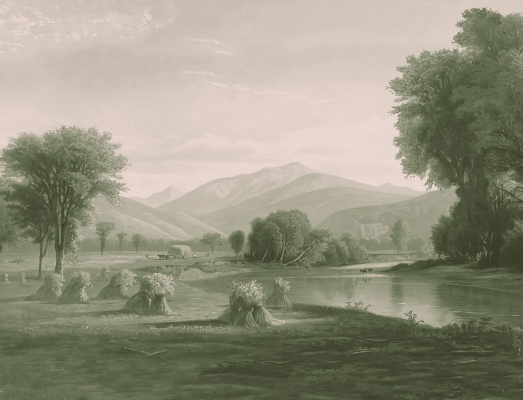 Mural de papel pintado Paisaje americano verde