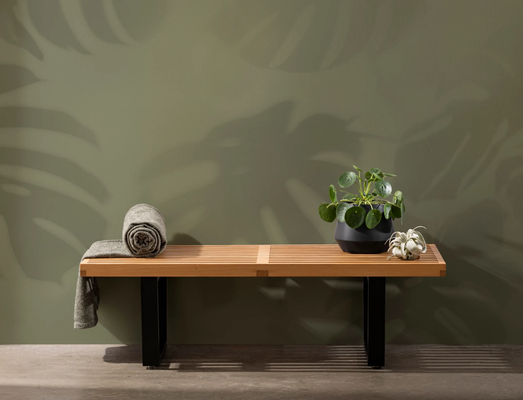 Green Monstera Leaf Shadow Mural