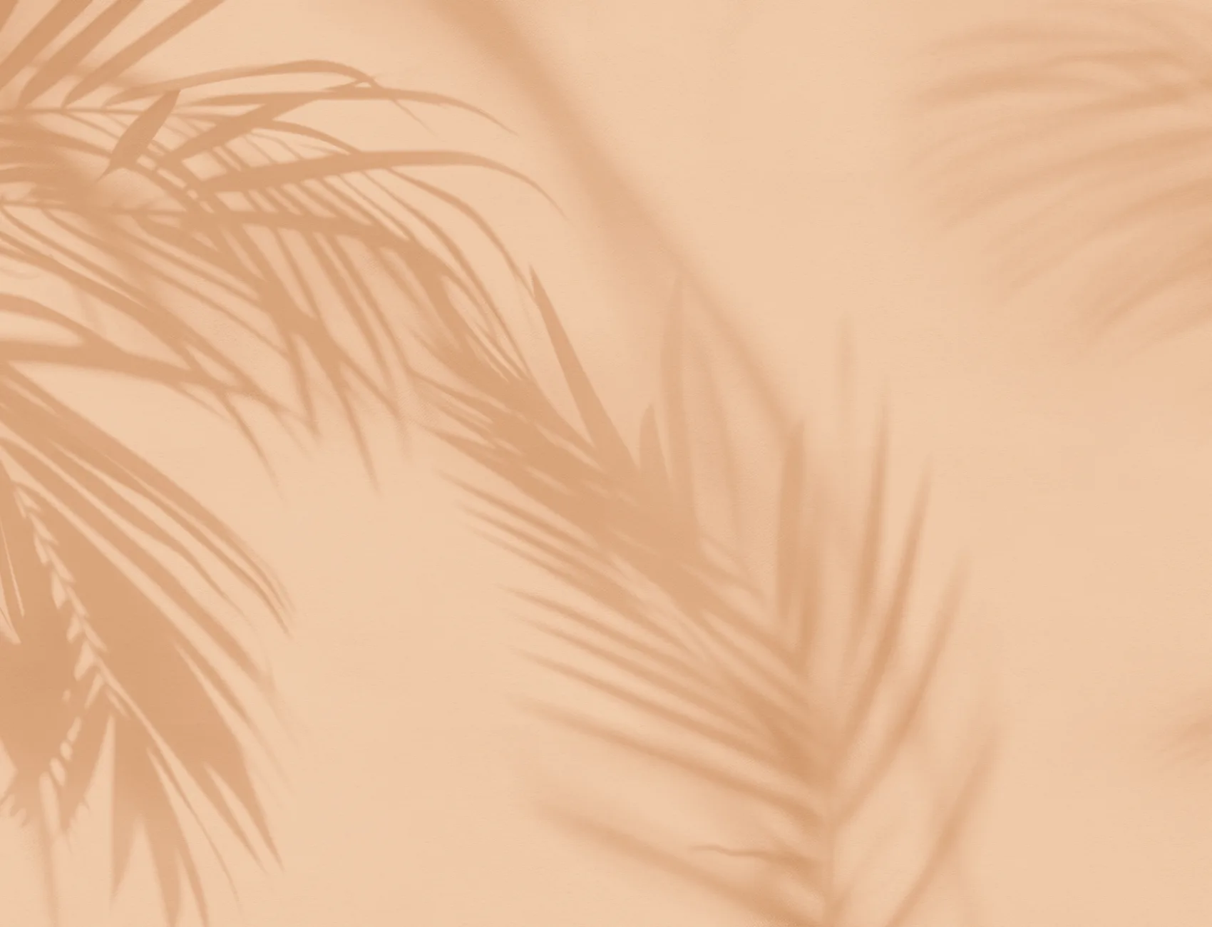 Peach Palm Leaf Shadow Mural-tapeter