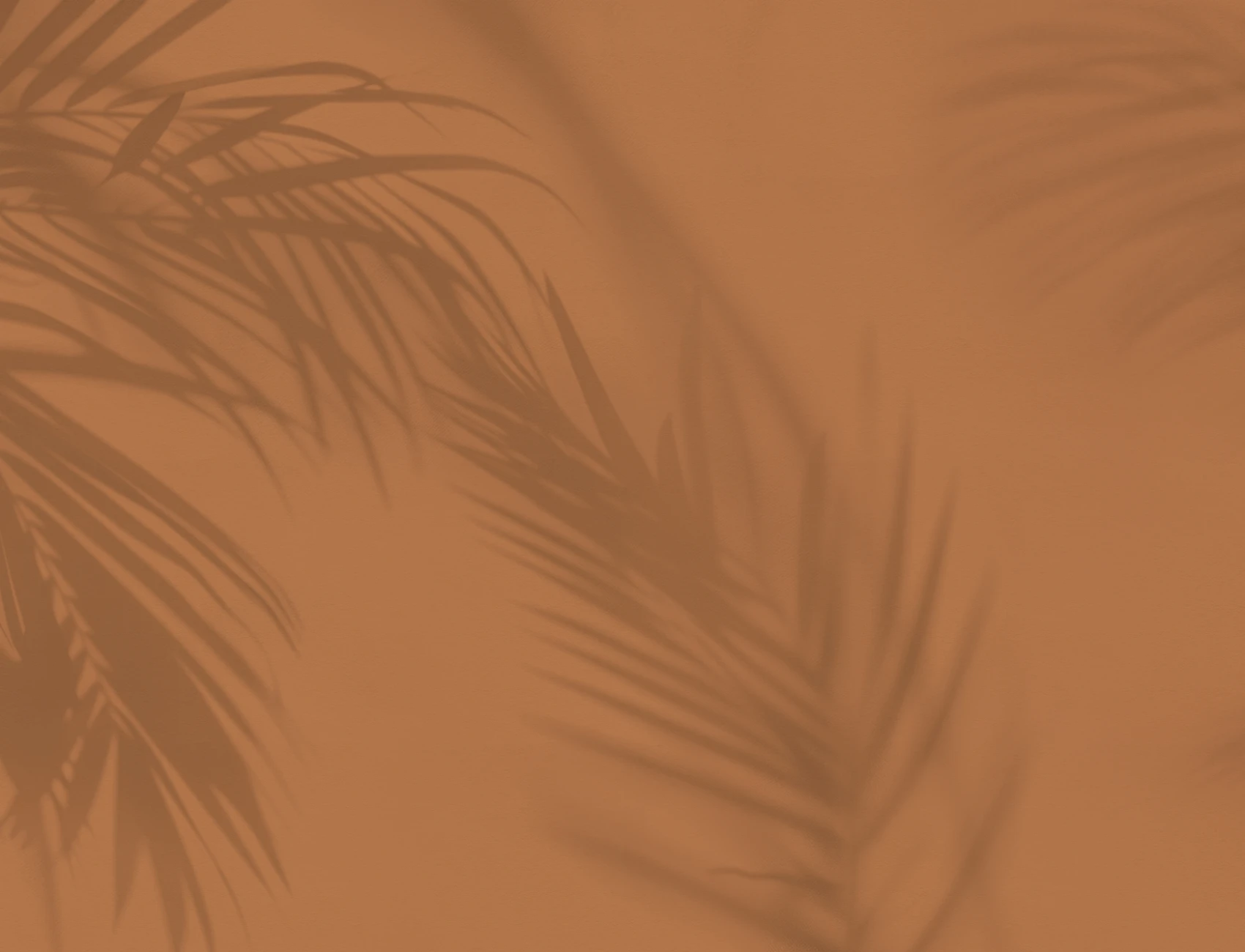 Terracotta Palm Leaf Shadow Mural
