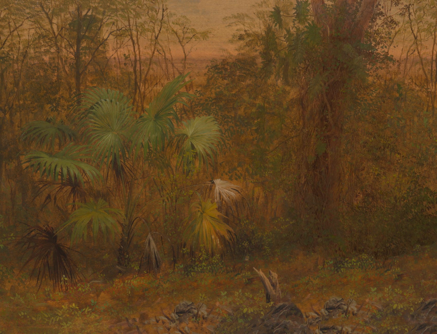 Tropical Jungle Oil Painting Mural