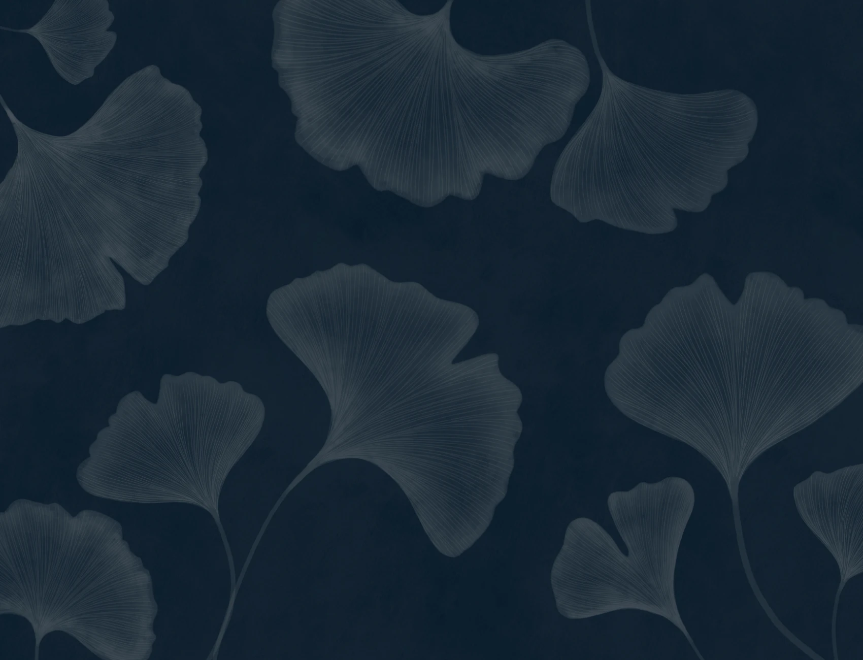 Marineblå Ginkgo Leaf fototapet