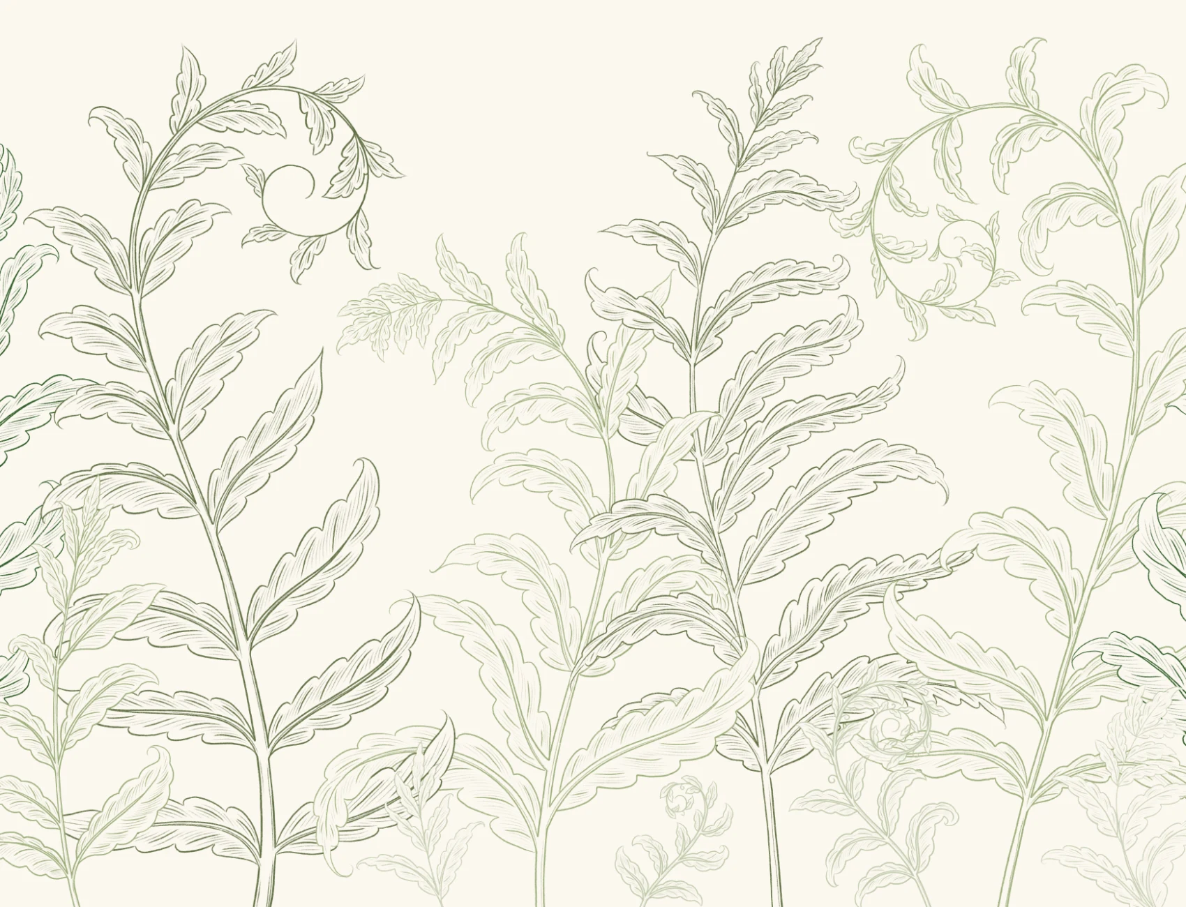 Green Botanical Ferns Mural