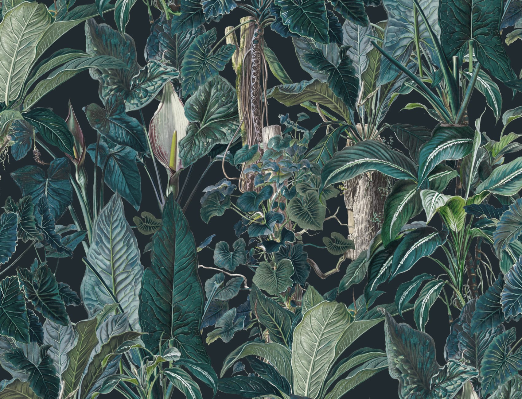 Întuneric Tropical ilustrat frunze plante murale