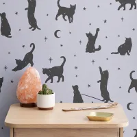 Image Katze