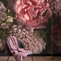 Image Feature