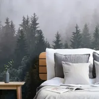 Image Forest