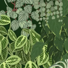 Botanical