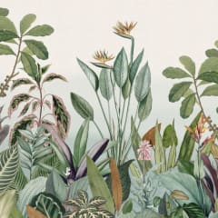 Jungle