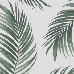 Palm Leaf