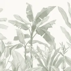 Vintage Botanical