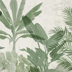 Tropical