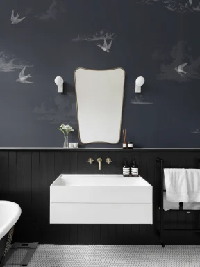 Navy Swallows Cloud Atmospheric Sky Mural