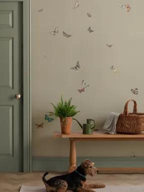 Green Butterfly Nature Minimalist Multicolor Design Mural