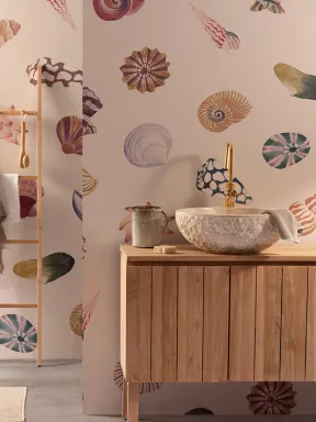 Colorful Seashell Wallpaper Mural