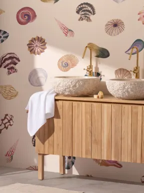 Colorful Seashell Wallpaper Mural
