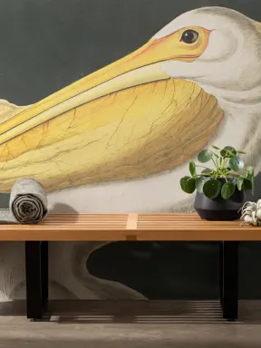 White Pelican Wallpaper Mural