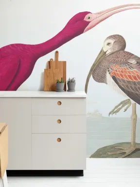 Carta da Parati Ibis Rosso