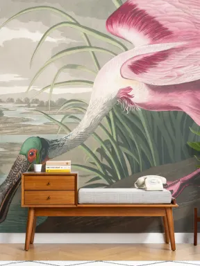 Roseate Spoonbill Wallpaper Mural