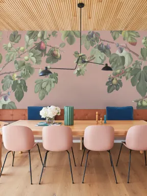 Vintage Fig Plant Botanical Illustration Wall Mural on Pink Background