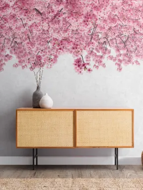 Rosa Sakura Cherry Blossom Fototapet