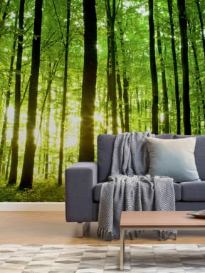 Breaking Light Green Forest Wallpaper Mural