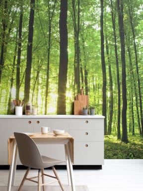 Papier Peint Panoramique Lumière Pénétrante dans la Forêt