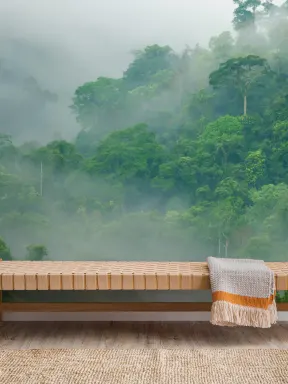 Misty Rainforest Wallpaper Mural
